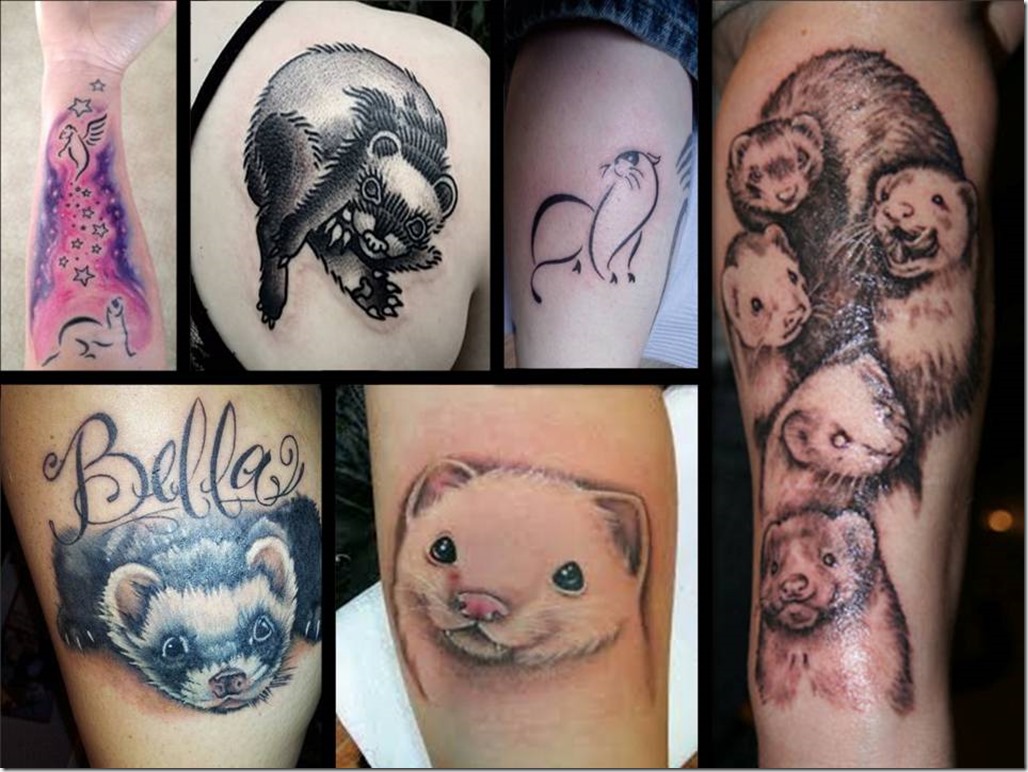 ferret_tattoos