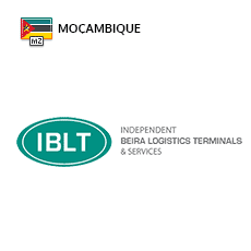 Recrutamento IBLTS Moçambique