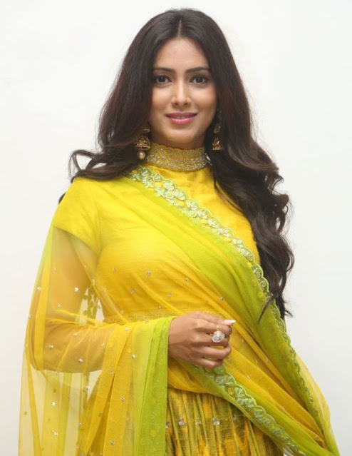 Pallavi Subhash pics in yellow outfits