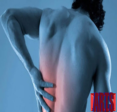 manfaat daun sirsak untuk mengobati sakit punggung