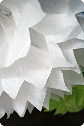 tissue poofs