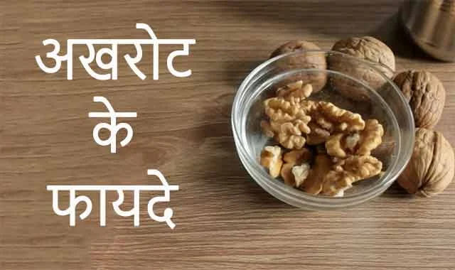 Health Benefits of Walnuts in Hindi