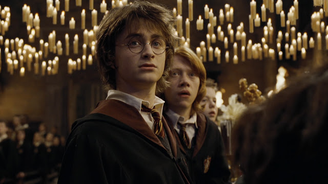 A magia e o encanto de Harry Potter!