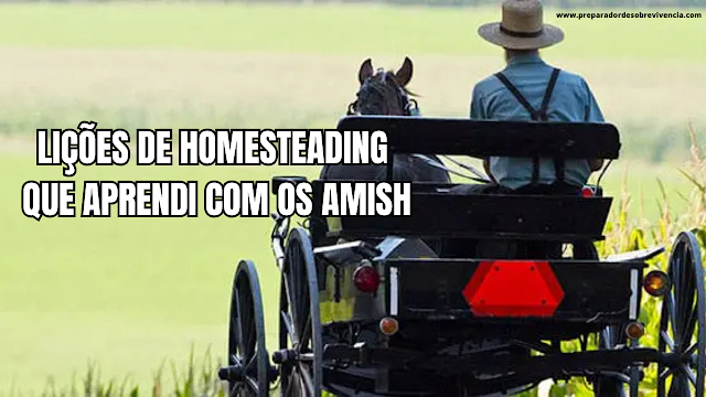 Lições de Homesteading