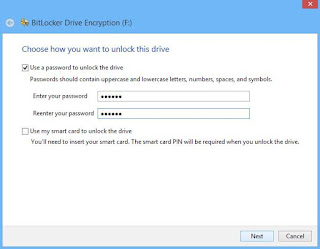 pendrive password protection