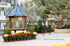 Garden at St. Lawrence Church, Feng Shun Tang, featuring flowers, trees, neo classical church of Macau, Western cultural symbol