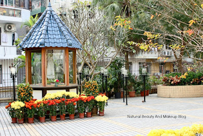 Garden at St. Lawrence Church, Feng Shun Tang, featuring flowers, trees, neo classical church of Macau, Western cultural symbol