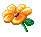 fleur--51-