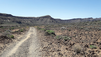 GR-131 TRAMO 5 EL PORTILLO - CENTRO DE VISITANTES (S-4 Siete Cañadas) A DEGOLLADA DE GUAJARA (S-5), pista Siete Cañadas y Circo de las Cañadas