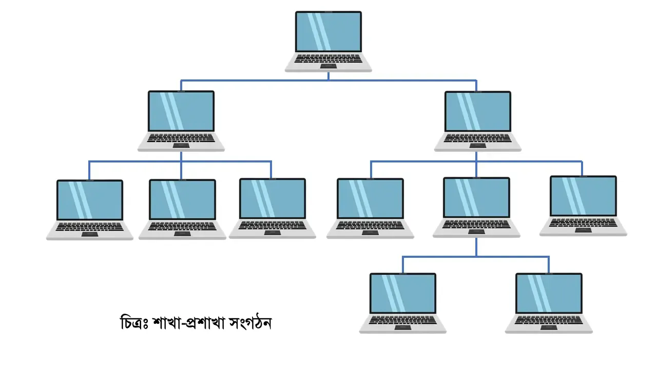 শাখা-প্রশাখা সংগঠন