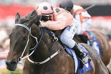 Black Caviar cavalla dell'anno in Australia. La rivedremo l'8 Ottobre a Caulfield