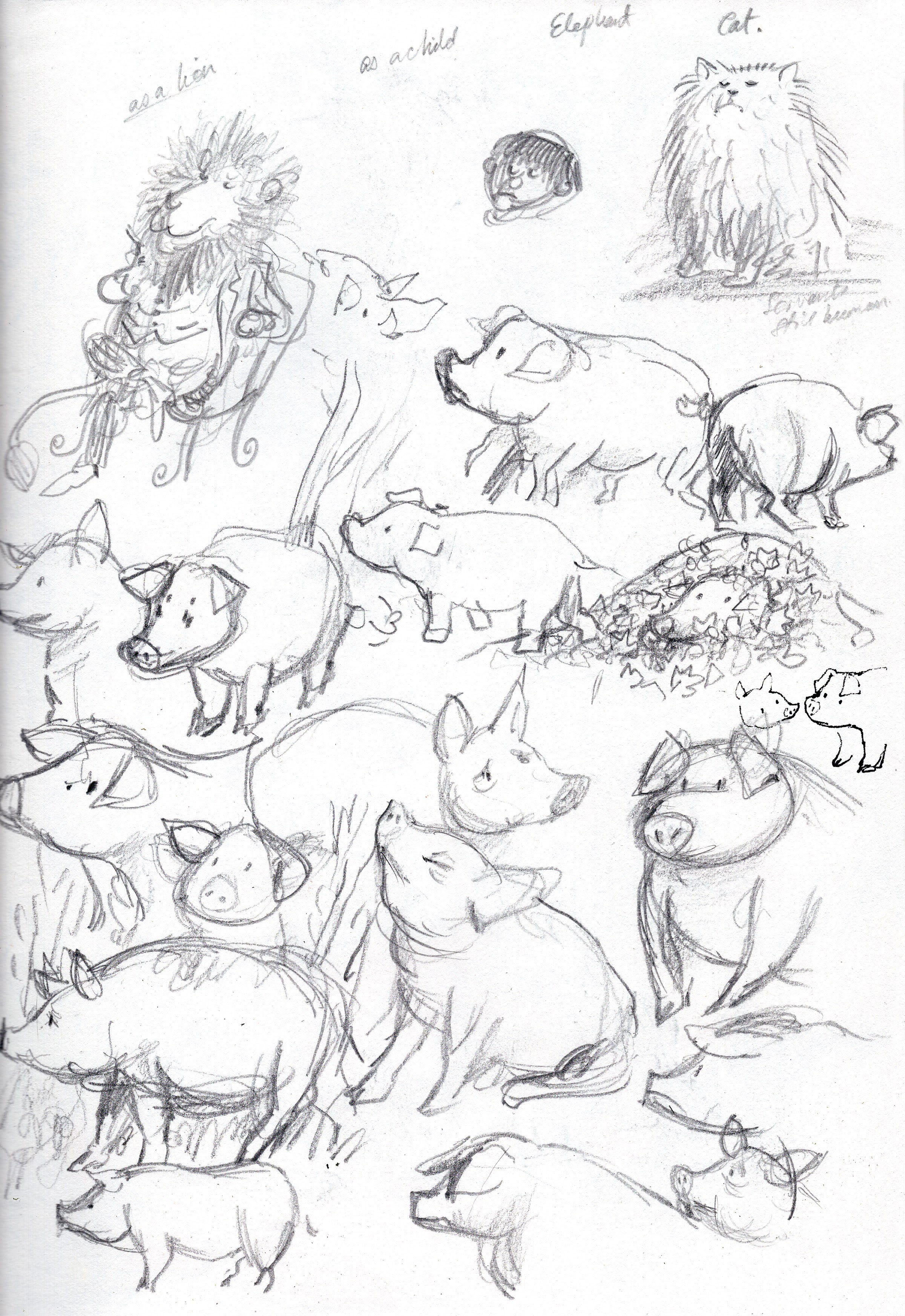Featured Animal Print Sketch Book Drawing - Temu