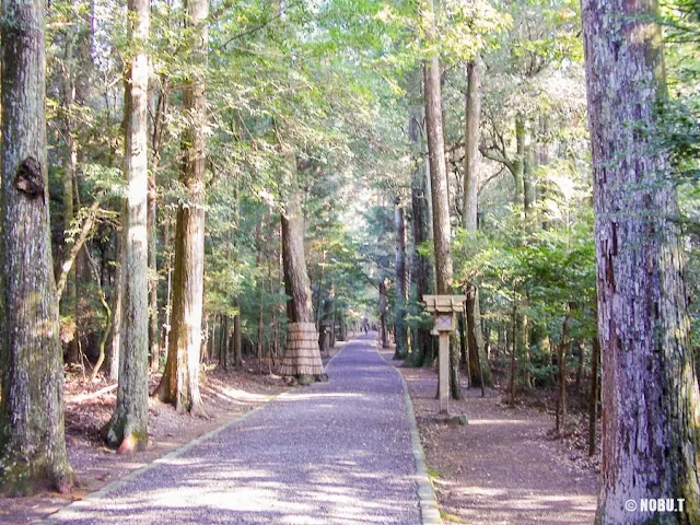 伊勢神宮・皇大神宮・別宮「瀧原宮」の参道