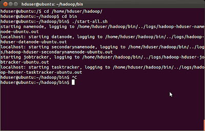 Starting Hadoop Services ./start-all.sh