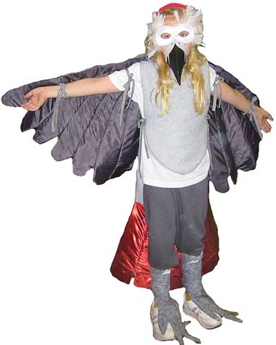 Bird Costumes For Kids