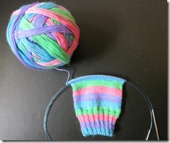 Spring Fever Sock 1