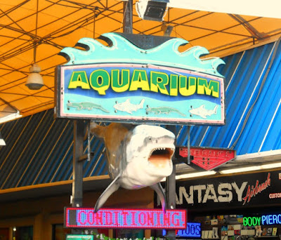 Seaport Aquarium in Wildwood New Jersey