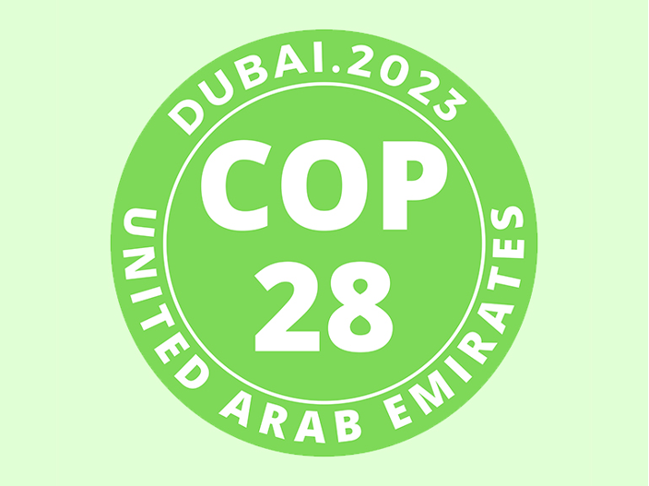COP 28 - Laudato Si' Movement
