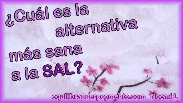 Alternativa saludable a la sal