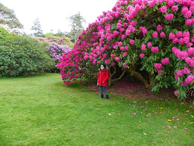 visite parc national de Killarney Irlande