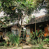 Foto-foto Selama Tinggal di Homestay Wisata Banyuwangi // Sony W-350