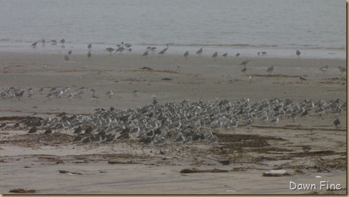 BwBTC Plum Island_023