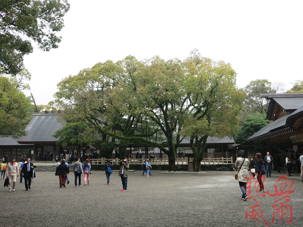 日本紀行：「熱田神宮」的日本神前式婚禮 @ 名古屋