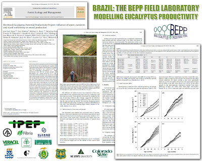 Jose Luiz Stape (North Carolina State University), Dan Binkley (Colorado State University), Mike Ryan (USDA) et al / BEPP - Brazil Eucalyptus Potential Productivity Project: Influence of water, nutrients and stand uniformity on wood production / BEPP - Proyecto de Modelizacion de la Productividad Potencial del Eucalipto: Influencia de la disponibilidad de agua, nutrientes y la homogeneidad del rodal en la produccion de madera / Gustavo Iglesias Trabado, Roberto Carballeira Tenreiro and Javier Folgueira Lozano / GIT Forestry Consulting SL, Consultoría y Servicios de Ingeniería Agroforestal, Lugo, Galicia, España, Spain / Eucalyptologics, information resources on Eucalyptus cultivation around the world / Eucalyptologics, recursos de informacion sobre el cultivo del eucalipto en el mundo