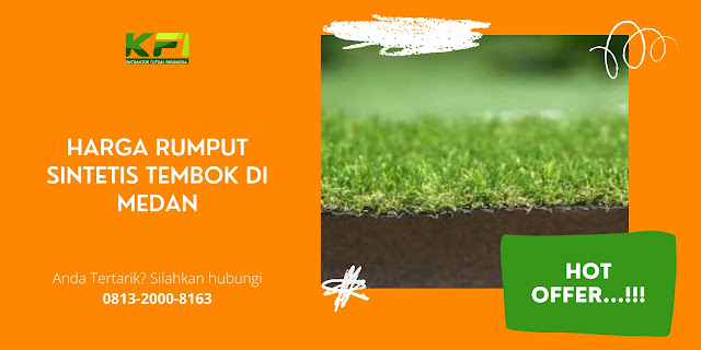 Harga Rumput Sintetis Tembok Di Medan