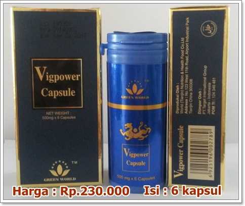 Obat Kuat Tahan Lama Vig Power Capsule