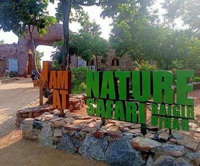 जू सफारी राजगीर Rajgir Zoo Safari :