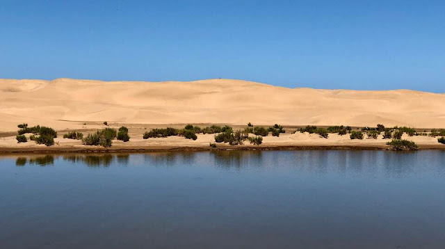 Road To Dakar con la Africa Twin: Un viaje de Roberto Peregrin (III)