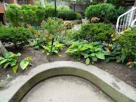 By Paul Jung Gardening Services--a Toronto Organic Gardening Company Garden District Toronto Downtown Cleanup After