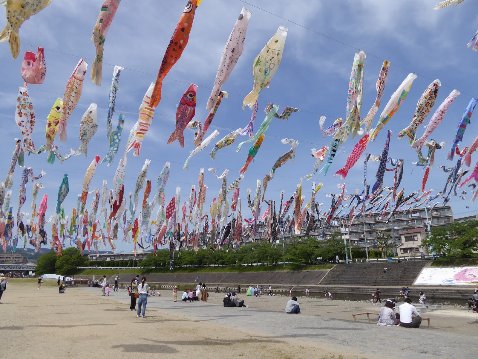 大阪府高槻市 芥川桜堤公園の上空を泳ぐ約1000匹のこいのぼり 関西のウォーキングスポット ブログ