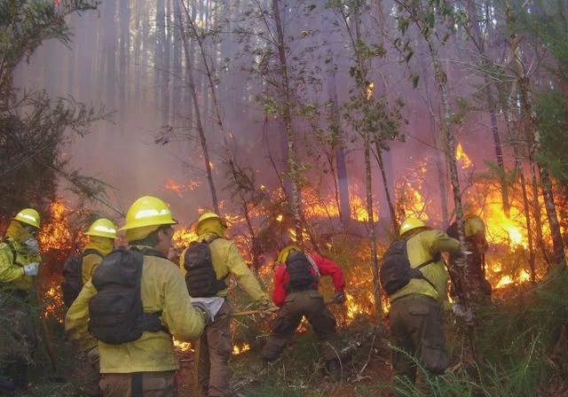 CONAF hace tercer llamado a brigadistas en Los Lagos