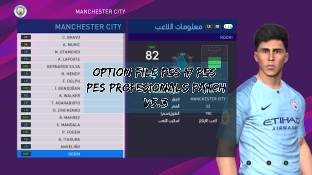 Professional V5.3 الانتقالات التشكيلات 5/7/2019