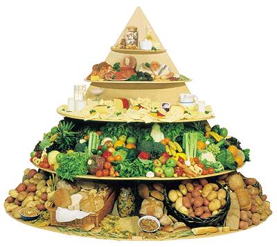 food pyramid kids. wallpaper blank food pyramid
