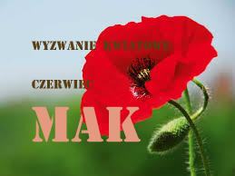 http://kreatywnybazarek.blogspot.com/2015/06/czerwcowe-wyzwanie-kwiatowe.html