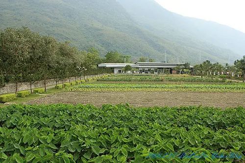 靜思精舍｜花蓮新城佛教慈濟功德會