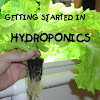 Getting Started In Hydroponics