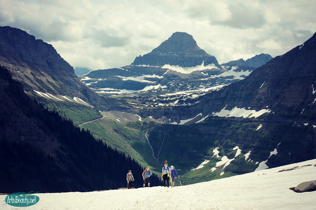 https://www.artisbeauty.net/2017/06/tips-on-navigating-glacier-national-park.html