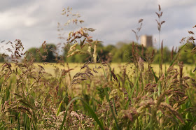 Norfolk countryside landscape photographs 2015