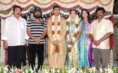 Meena marriage photos