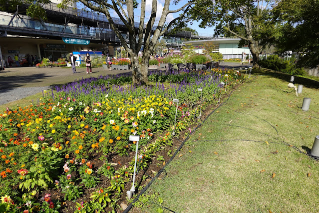 鳥取県西伯郡南部町鶴田　とっとり花回廊　エントランス展示