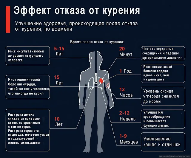 Инфографика с эффектом от отказа от курения