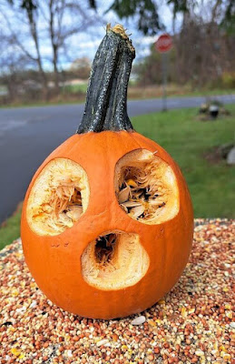 A freshly carved pumpkin sitting on some birdseed.