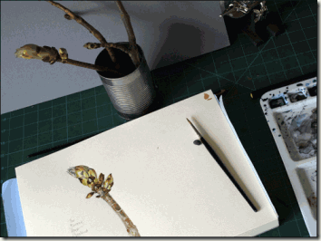 twig-3