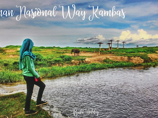 Taman Nasional Way Kambas, Wisata Populer Lampung