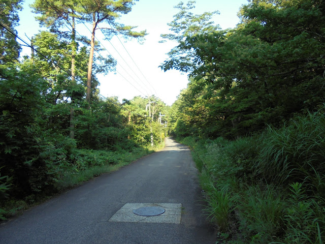 この道を真っすぐ行けば大山に行く公道に出ます