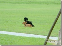 nEO_IMG_DSCF0089